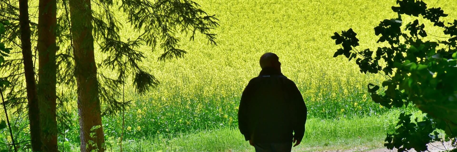 Rentner spaziert in der Natur